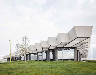 ШҚО-да 265 адамды кене шаққан: эпидемиологтар не дейді?